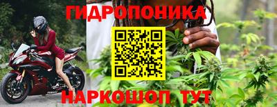 прущие грибы Краснознаменск