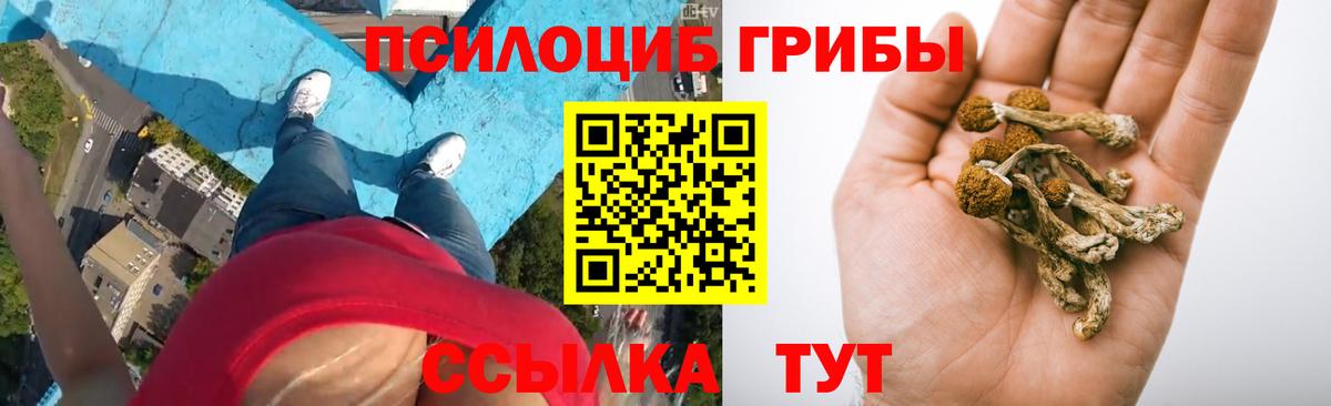 Кизляр  где можно купить   Вход с VPN  Галлюциногенные грибы мухоморы  Галлюциногенные грибы GOLDEN TEACHER 